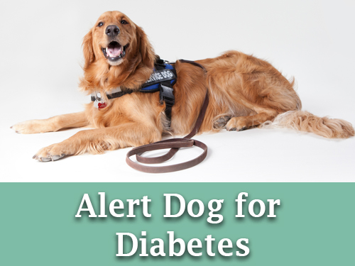MI FIDO | Alert Dog anche in Italia
