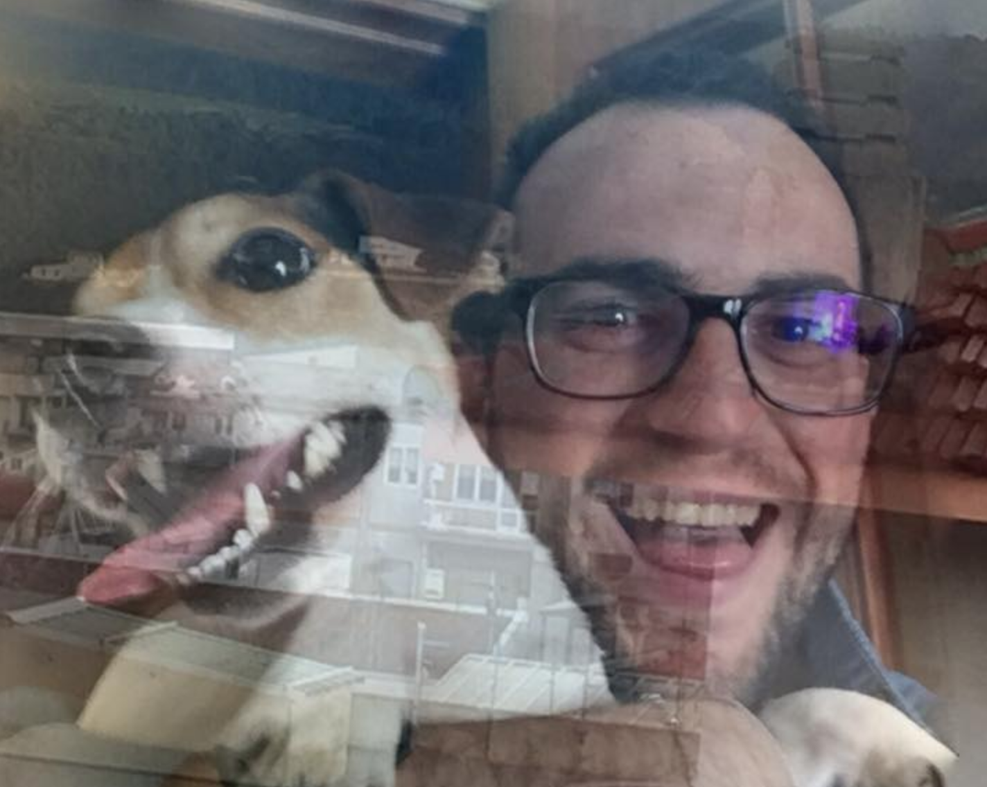 Finisce male la storia del cane “Cocco” a Ragusa. Dopo i numerosi appelli sui social, è stato trovato morto. Ecco la storia e la rabbia del proprietario