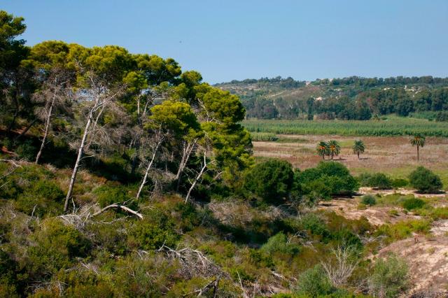 La riserva naturale Pino d’Aleppo  riperimetrata per tutelare le aziende agricole della pre fascia.