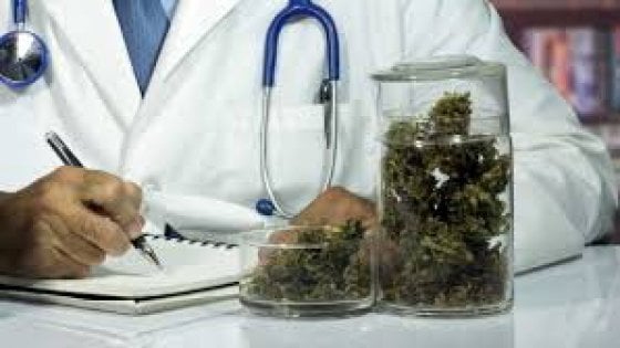 Cannabis terapeutica: per la prima volta in Sicilia dose “pubblica e gratuita a paziente