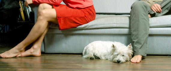 MI FIDO | Tra moglie e marito non mettere…Fido. Separazione coniugi, a chi va il cane?
