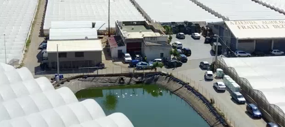Lesioni a rumeno, Pd prende distanze da consigliere arrestato mentre Cgil torna sullo sfruttamento nelle serre. Il video dell’arresto