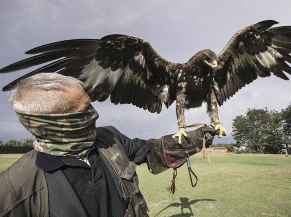 Capitan “Ultimo”, l’uomo che catturò Riina, rinuncia al titolo di cavaliere.