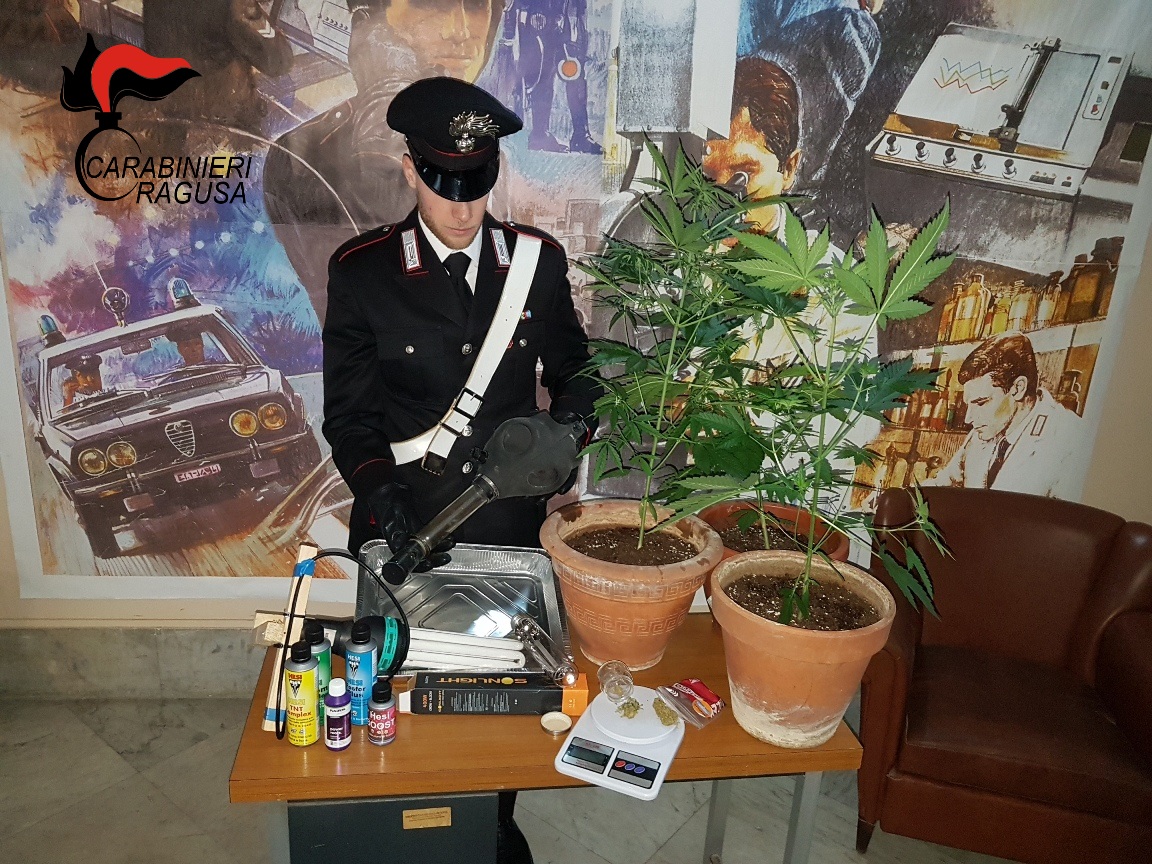 Coltivava droga in casa a Ragusa: arrestato dai Carabinieri