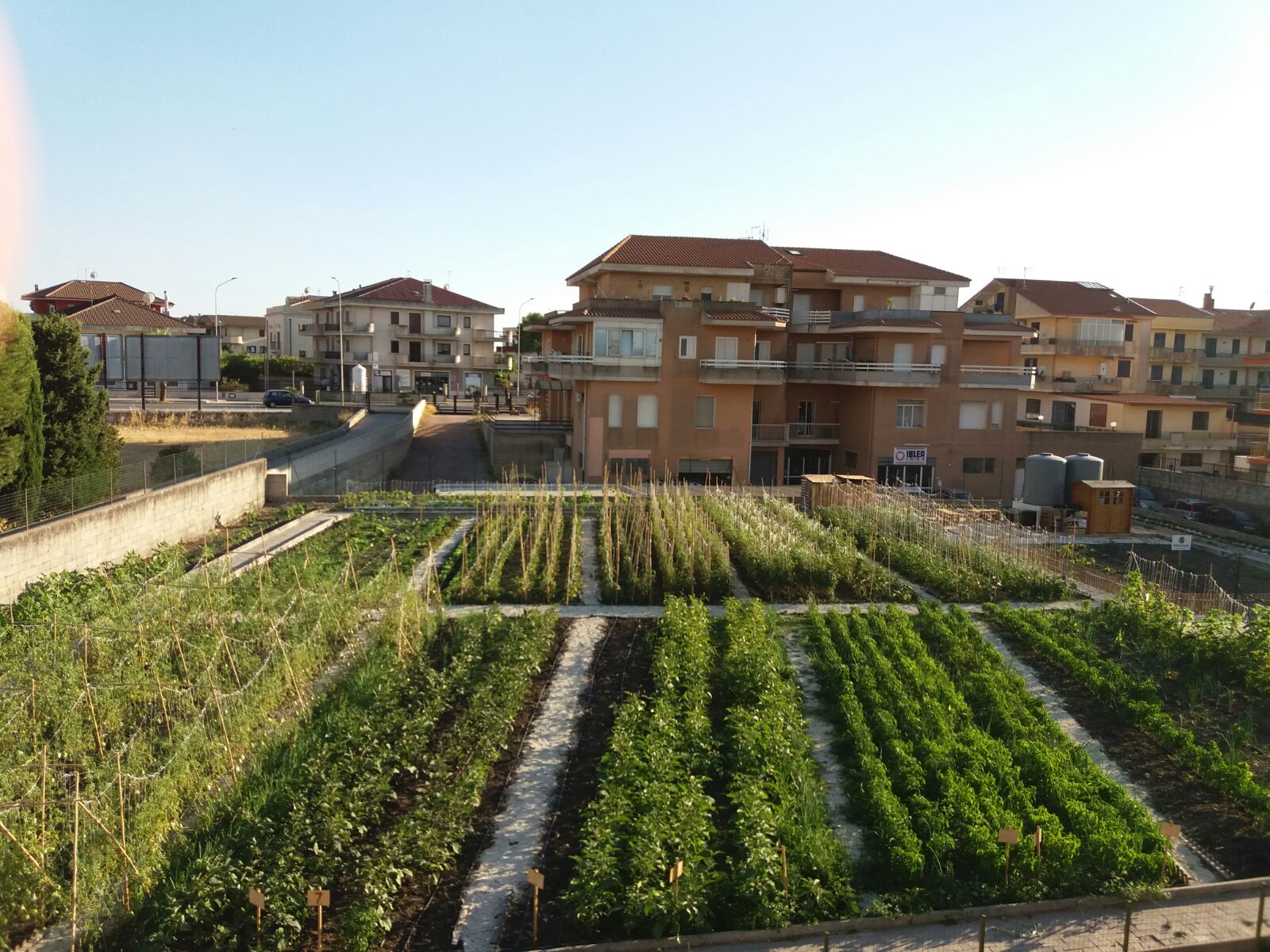 Nasce a Modica all’orto urbano  del reparto di pischiatria, il  “giardino delle api”.