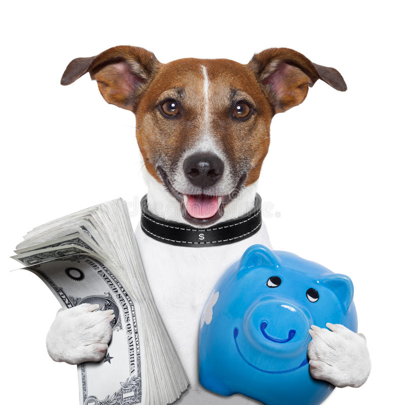 Conto corrente per Fido?