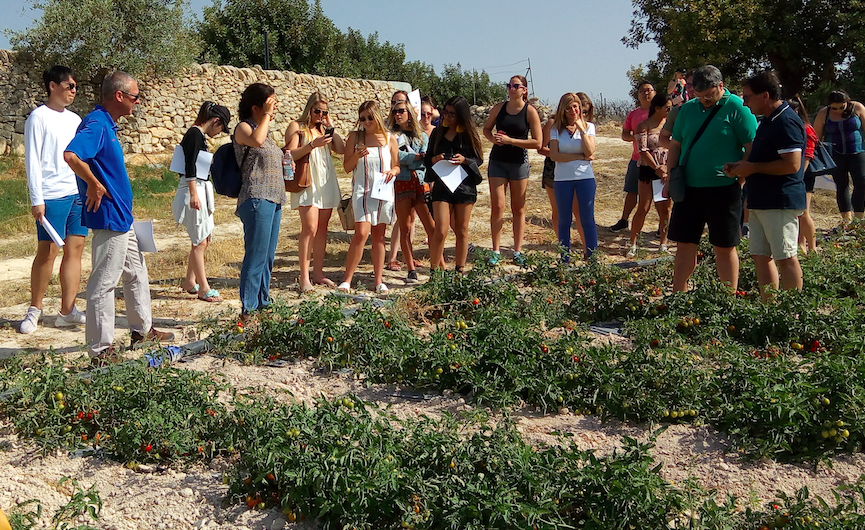 I pomodori essiccati al sole prodotti da “Agriblea” oggetto di studio da parte dell’Università della Florida