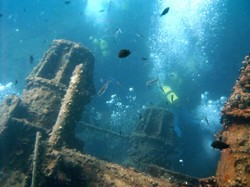 Scoperto un antico relitto navale e numerosi reperti archeologici. A Porto Ulisse