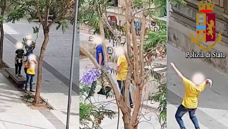 Denunciate gli autori degli atti vandalici a Vittoria