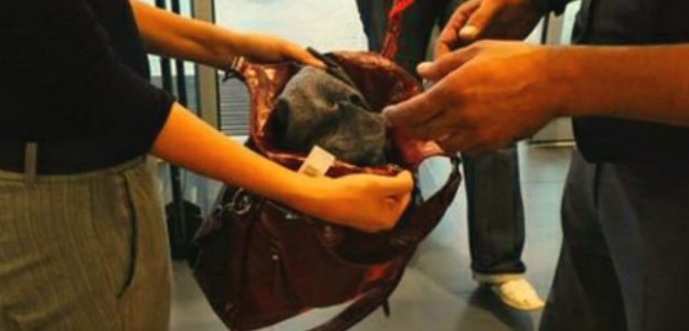 Banda di minorenni che rubava nei centri commerciali a Ragusa individuata dalla Polizia