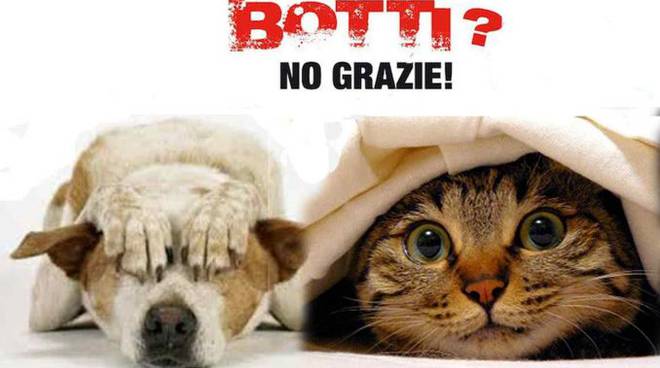 Ho paura dei botti!
