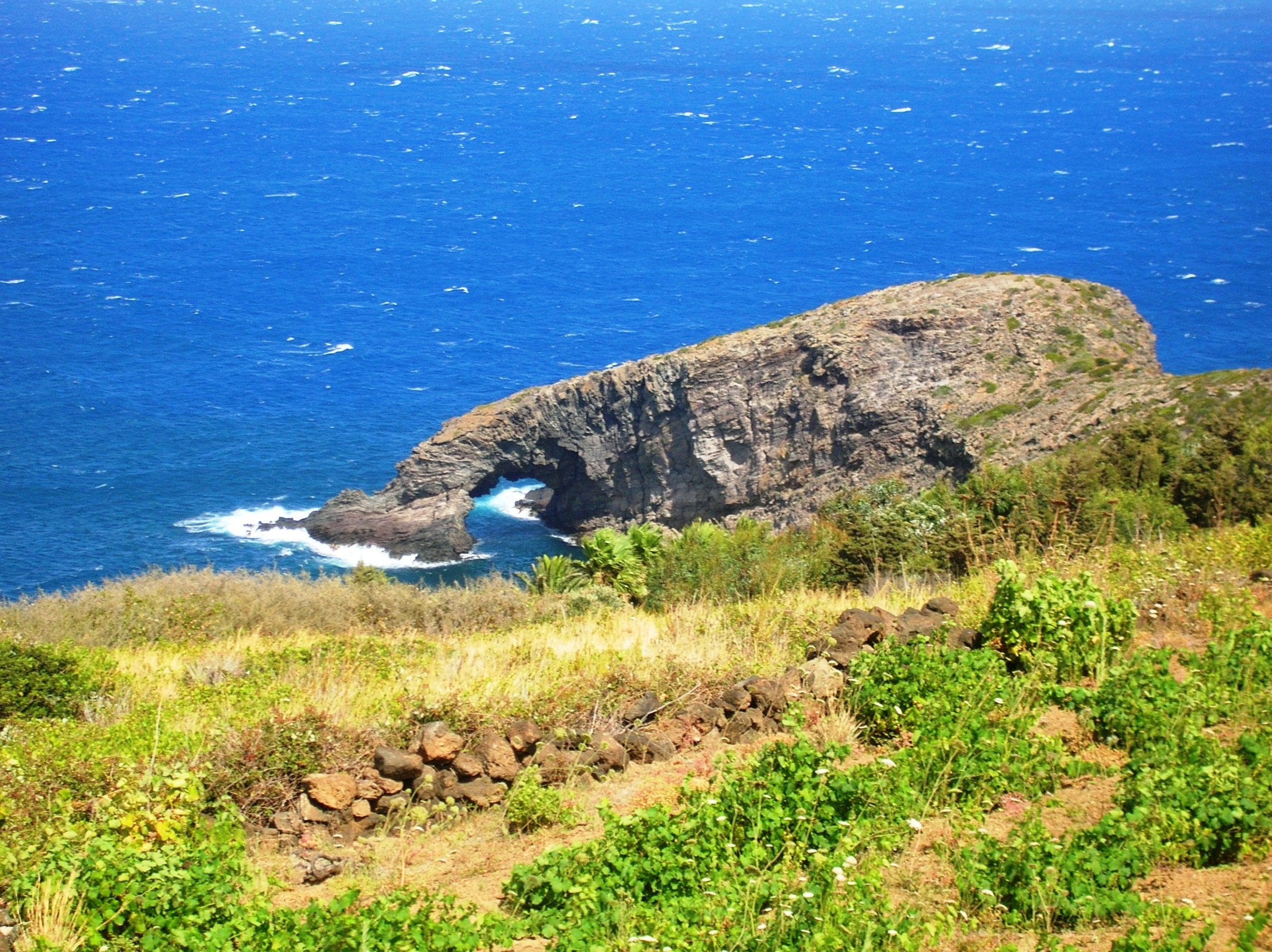 Pantelleria DOC Festival, dieci giorni di mare, cibo e vino