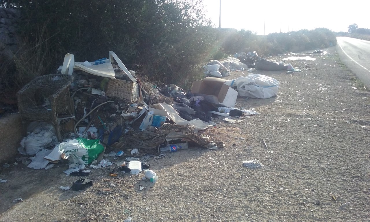 Rimozione rifiuti nelle piazzuole delle strade provinciali