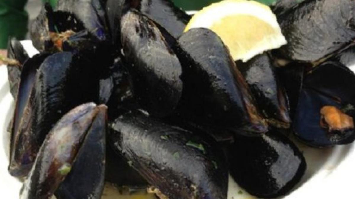 Cozze refrigerate allarme escherichia coli