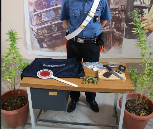 Arrestato 28enne di Frgintini per coltivazione e detenzione di stupefacent