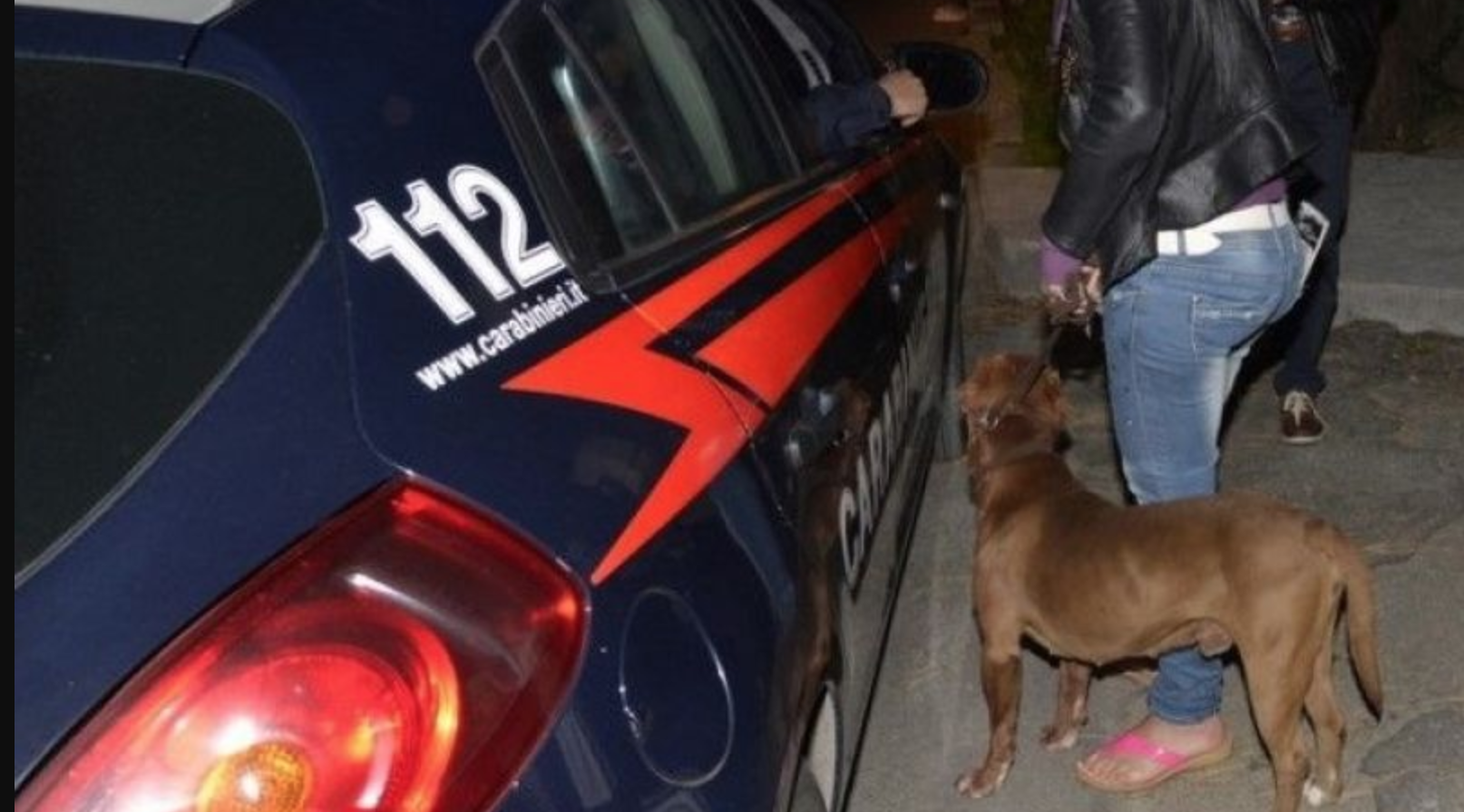 Coppia di modicani scaglia pitbull contro Carabinieri per evitare controlli in casa