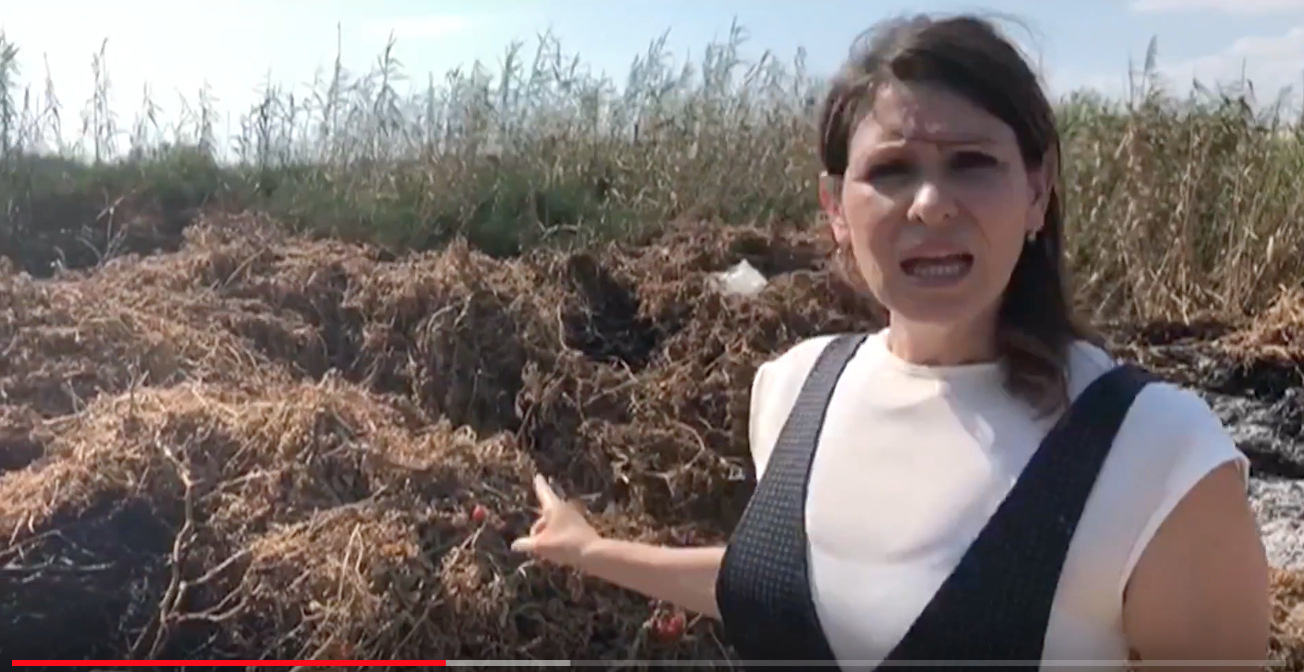 La foce del Dirillo e i Macconi: terra di nessuno. Un far west denunciato dall’on. Stefani Campo. VIDEO