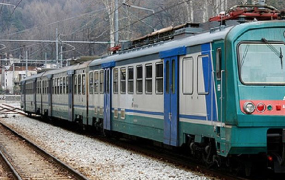 Treno Siracusa-Roma bloccato a Reggio Calabria perchè pieno di pulci. Questo, a quanto pare, ci meritiamo noi siciliani