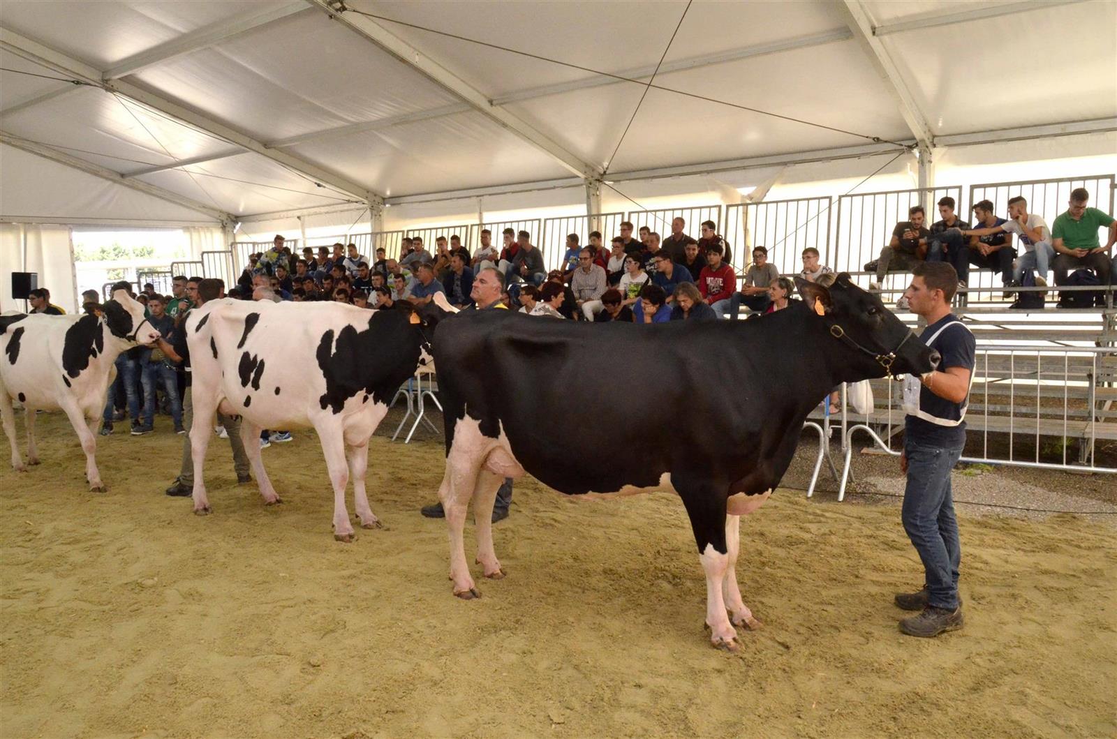 Chiude i battenti la 44^ edizione della Fiera Agricola a Ragusa. Un grandissimo successo