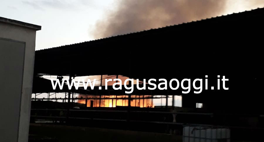 Fulmine colpisce stalla. In fiamme centinaia di balle di fieno. Vigili del Fuoco in codice rosso