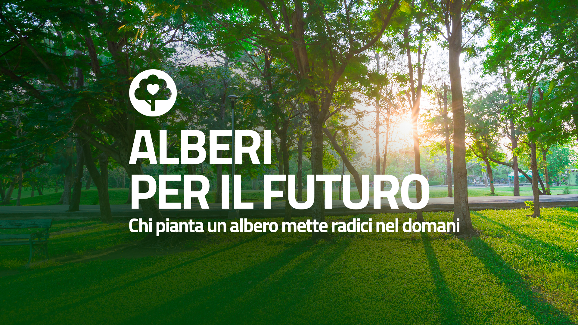 Alberi per la vita. A Comiso questa domenica iniziative