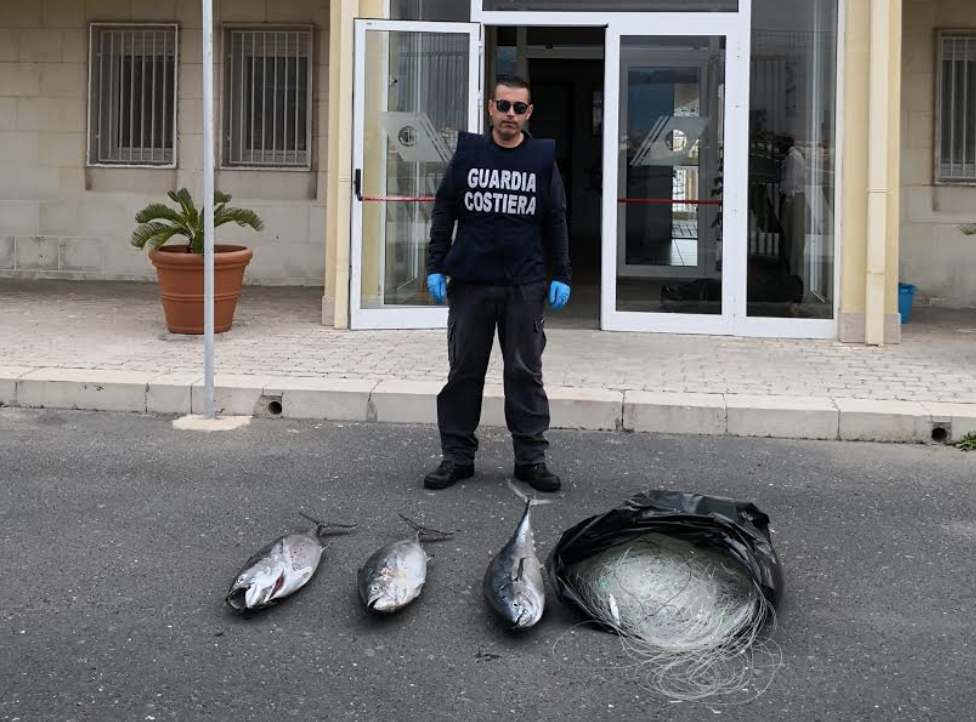 Sequestrato tonno alletterato illecitamente pescato. Intervento della Capitaneria di Porto di Pozzallo