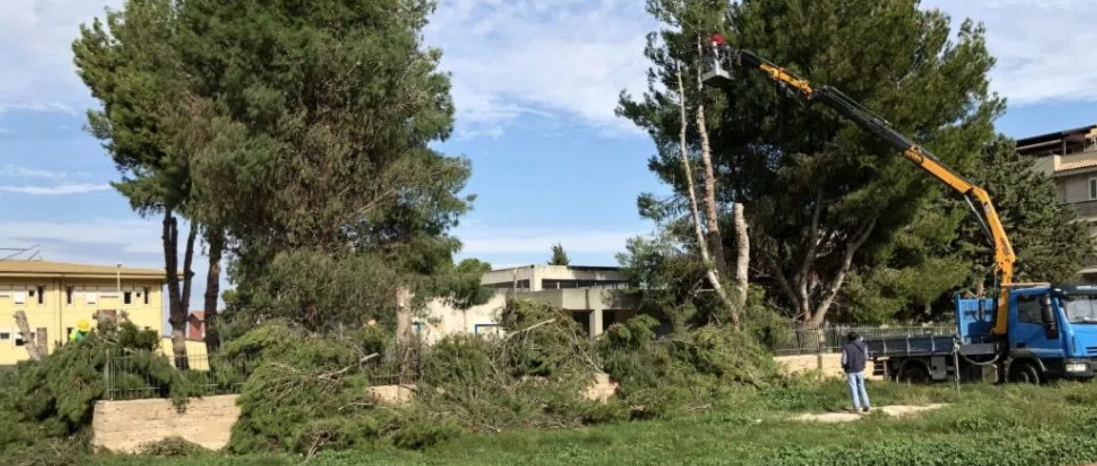 Addio agli alberi dell’asilo nido di Comiso. Tagliati per sentenza della magistratura. Inefficaci le proteste
