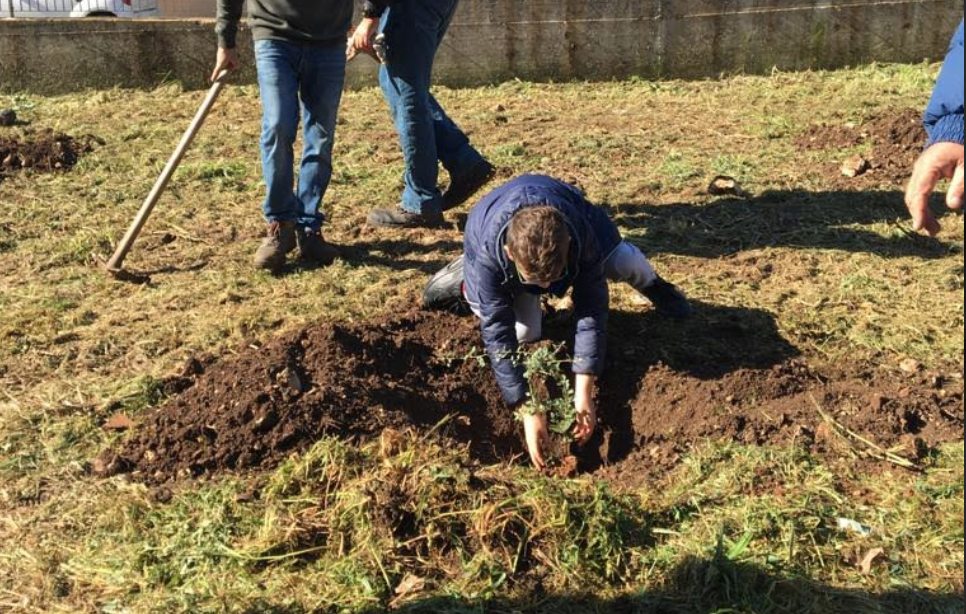 Festa dell’Albero, piantati i primi alberi nelle scuole