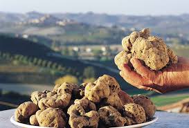 Sua Maestà il Tartufo Bianco. 10 giorni per un menù speciale alla Locanda Don Serafino