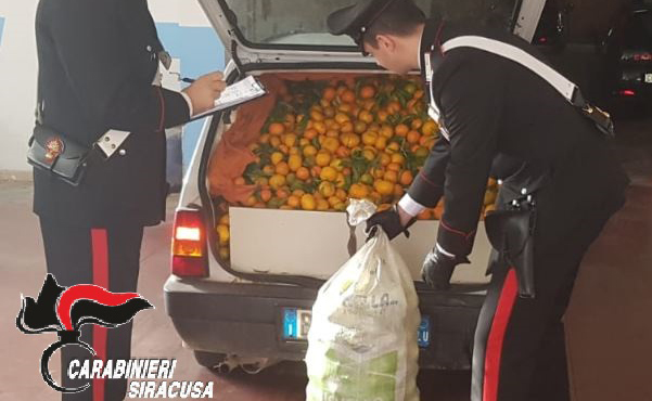 Fermati con 500kg di agrumi, arrestati due italiani