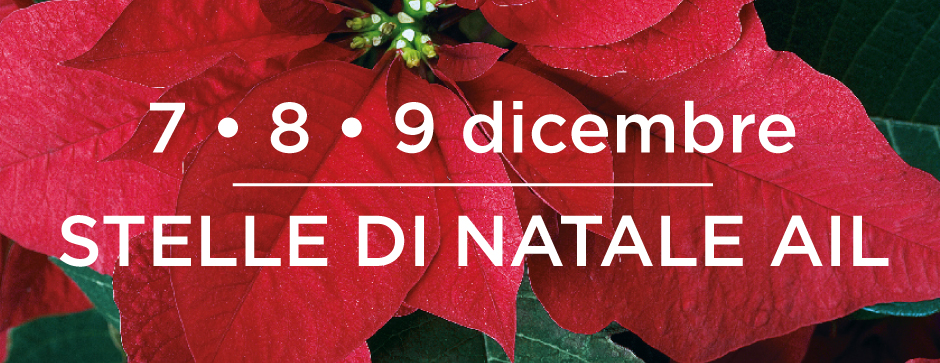 Questo weekend nelle piazze della provincia le “Stelle di Natale” della AIL