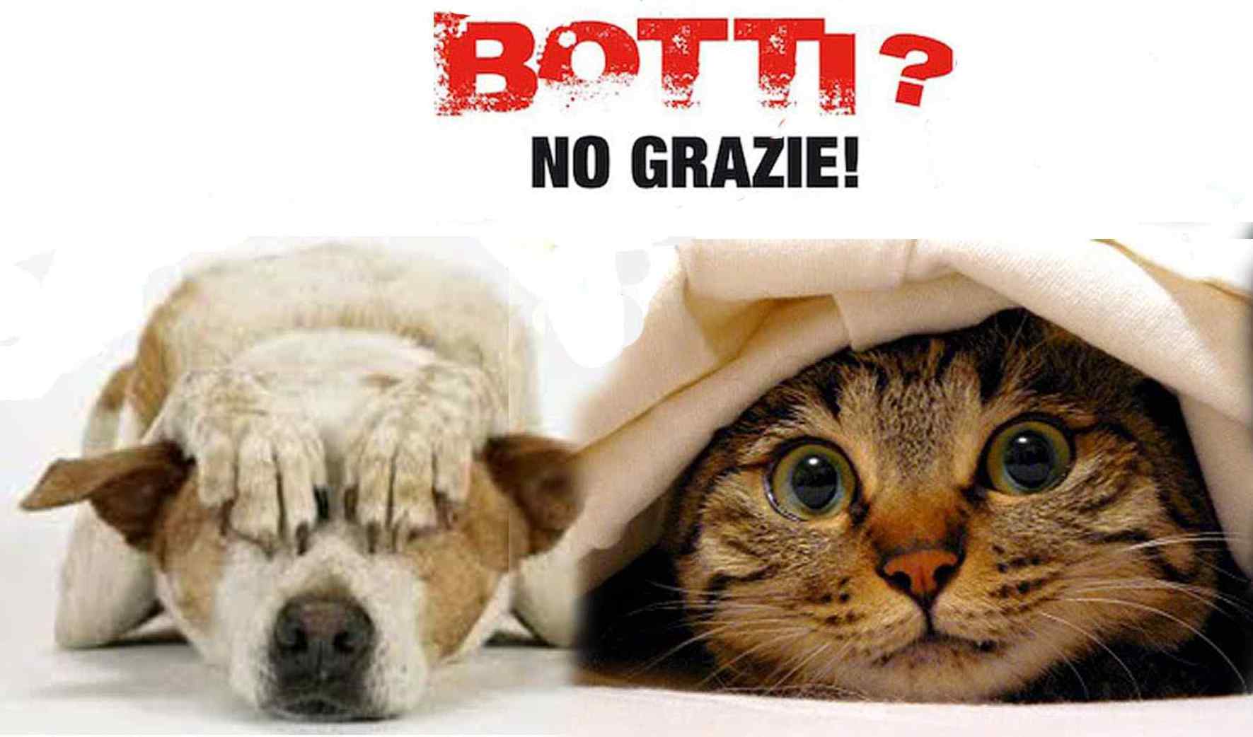 Botti, no grazie!