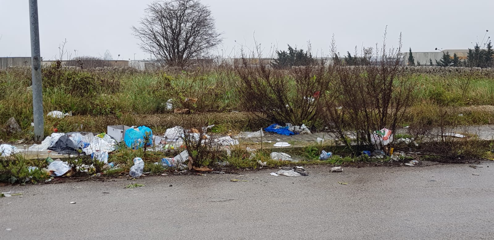 Continua la presenza di discariche a cielo aperto anche in città. Il caso di via Berlinguer
