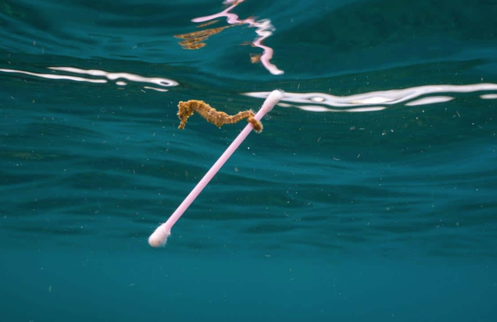 Ambiente. Da oggi in Italia è vietata la vendita dei cotton fioc di plastica