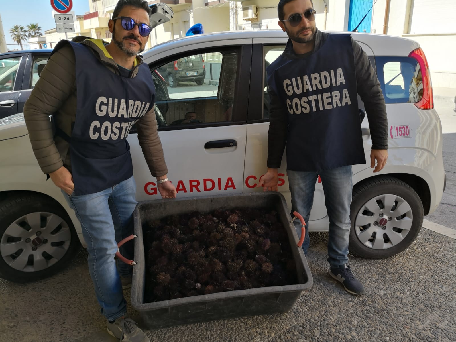 Pescati abusivamente quasi 2000 ricci a Punta Secca e Punta Braccetto. Denunciato il subacqueo.