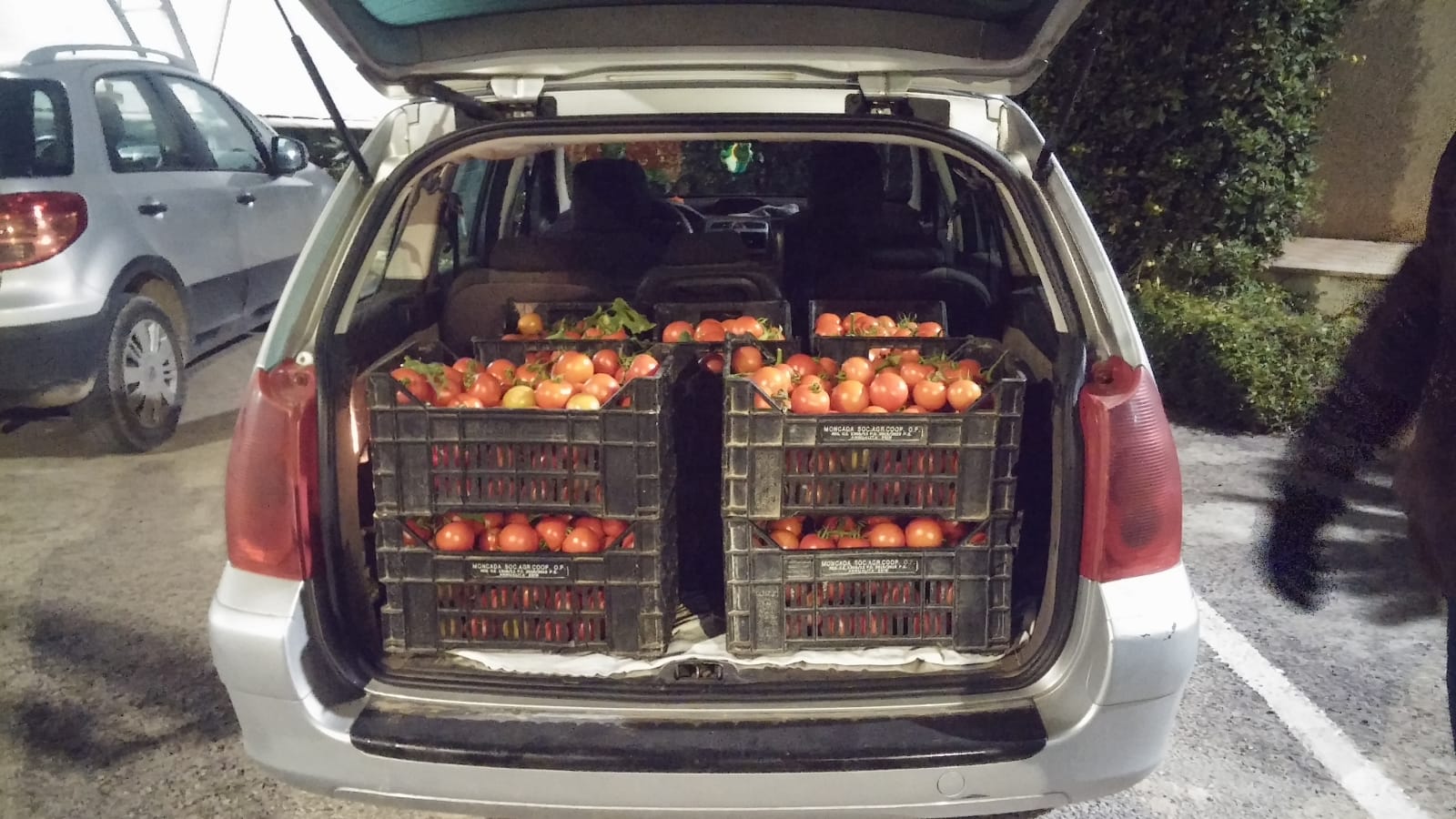 I carabinieri di Modica arrestano ladro di pomodori.