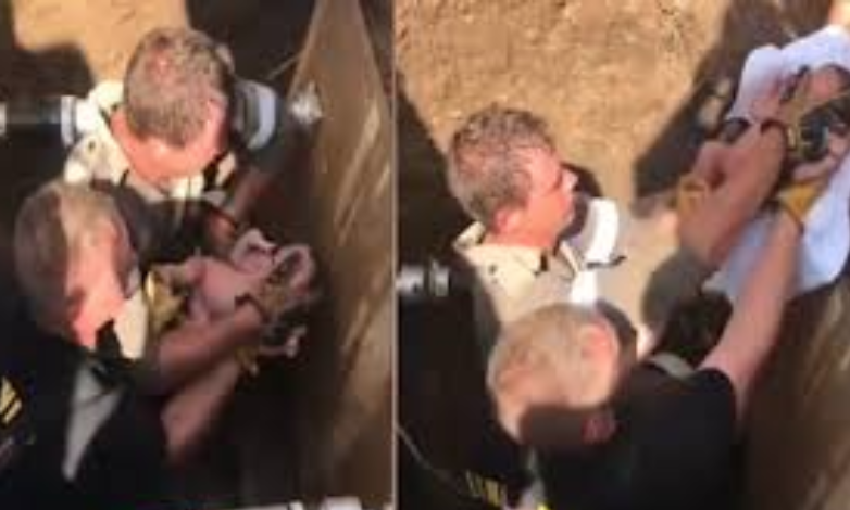 Sudafrica, neonato trovato vivo in una fogna. A salvarlo dei passanti