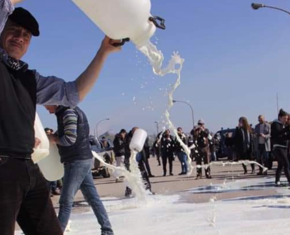 Protesta del latte a Vittoria. Allevatori: “Lasciamo perdere e migreremo al Nord”
