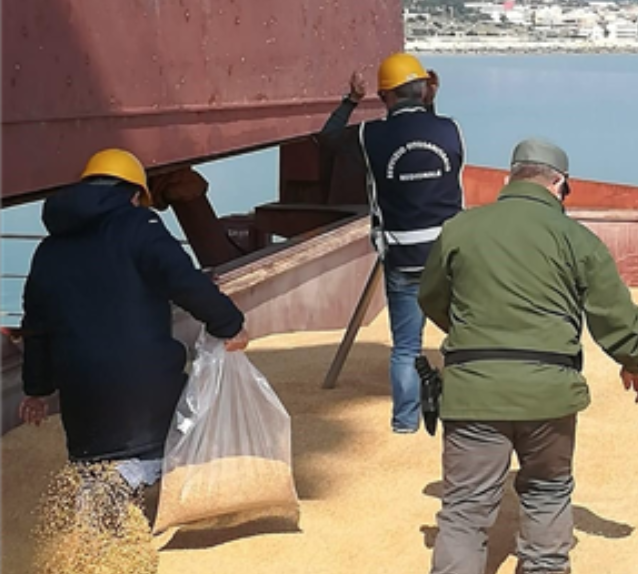Controlli grano su nave al porto di Pozzallo