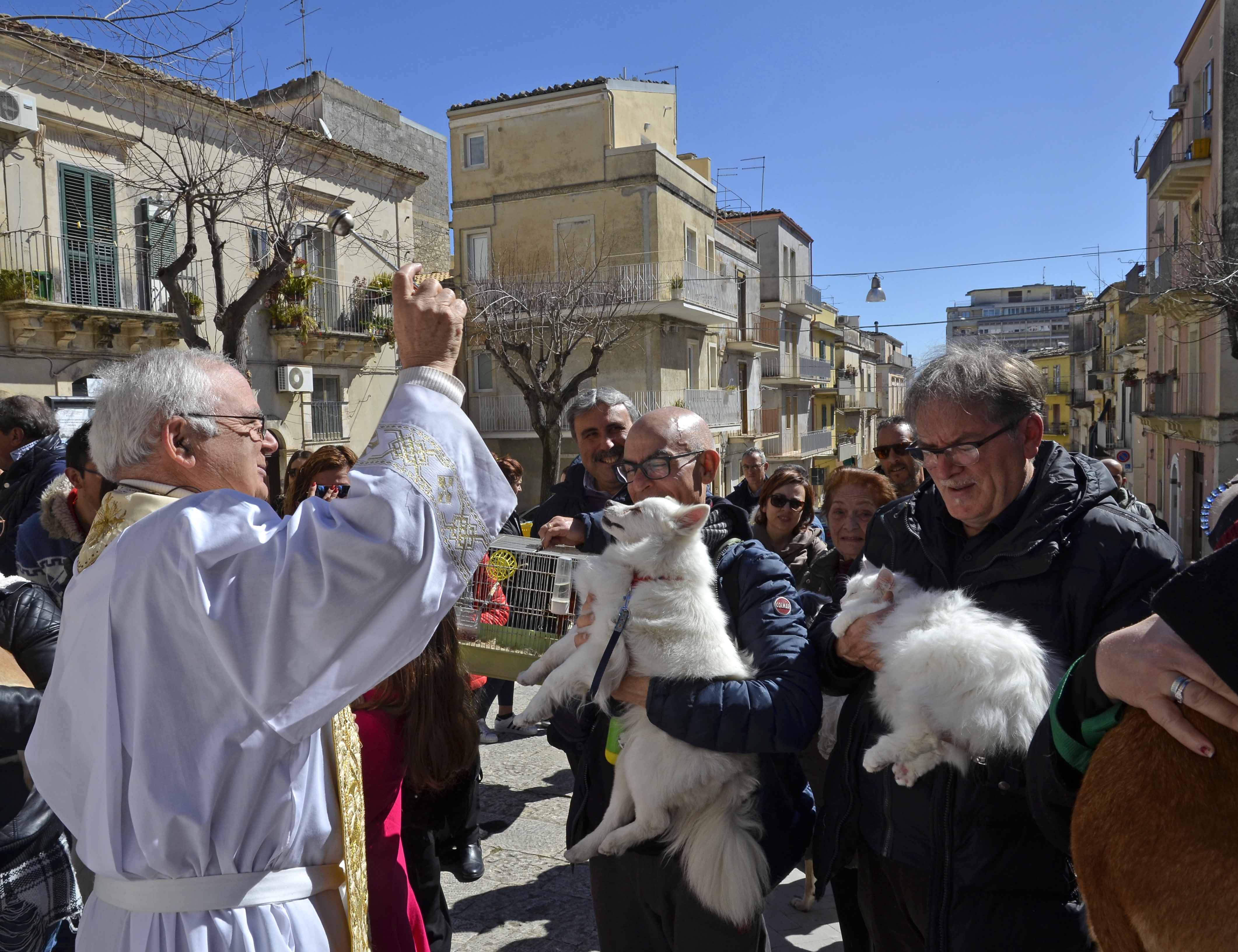 Benedetti gli animali iniziano i festeggiamenti di San Giuseppe a Ragusa. FOTO GALLERY
