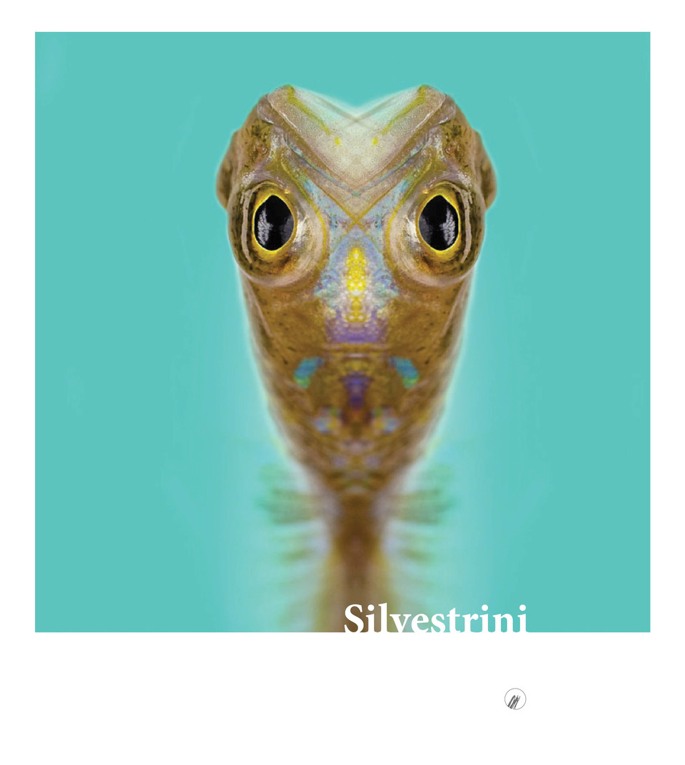 Arte e fotografia: Un “miscuglio di Scienza e Fiaba” la ricetta di Walter Silvestrini per vivere la Sicilia. Alle Quam di Scicli dal 30 marzo