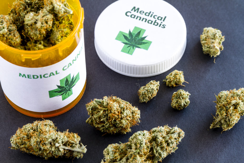 La Cannabis per uso terapeutico. A scuola a Ragusa un incontro