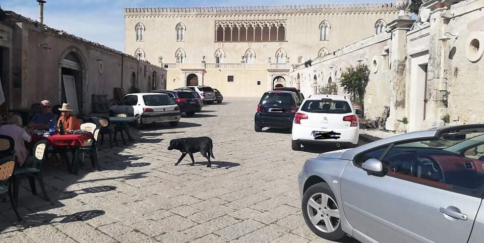 Giovanni Gurrieri a Donnafugata: “C’è da spostare una macchina!”