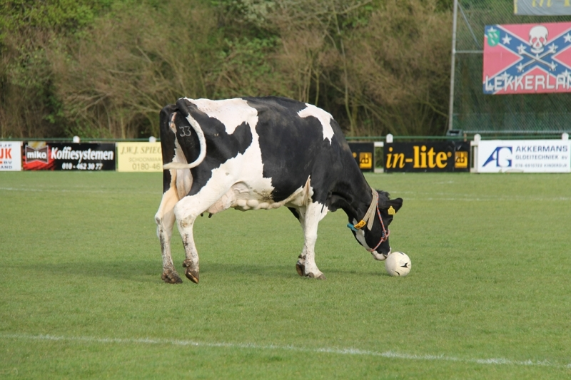Juventus batte Blue Tongue 3 a 0. Al Comune di Modica