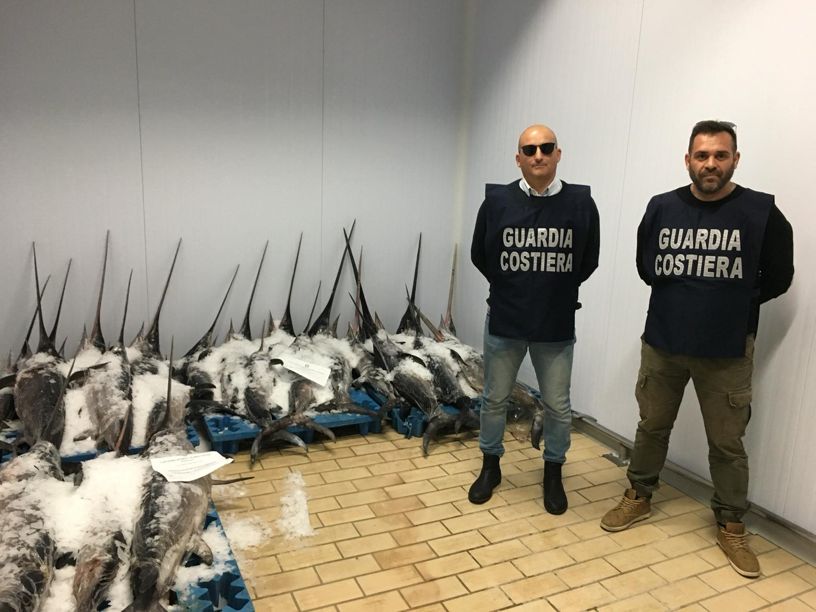 Pesce spada illegale pronto per essere immesso nel mercato siciliano. Sequestrato al porto di Pozzallo