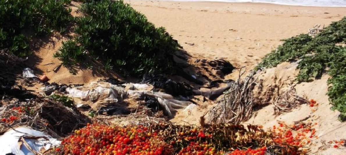 Continua lo scempio nella spiaggia di Macconi