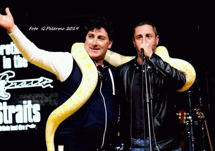 Un serpente di 2 metri finisce sul palco musicale di Pozzallo
