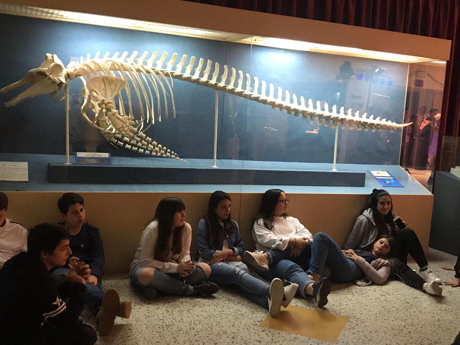 Speciale Notte al museo a Comiso. FOTO GALLERY