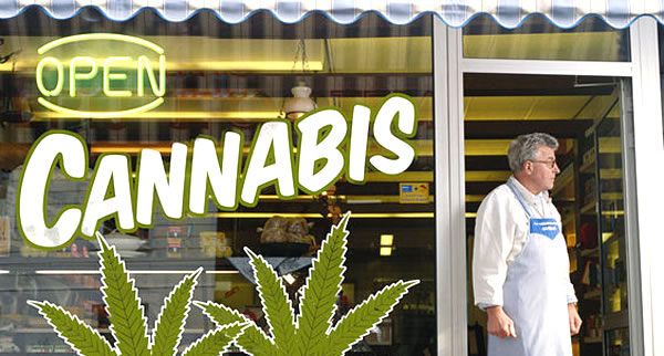 Cannabis shop: per la Cassazione è reato vendere i prodotti derivati. Posti di lavoro e investimenti adesso a rischio. A Ragusa c’è l’azienda più grande del Sud
