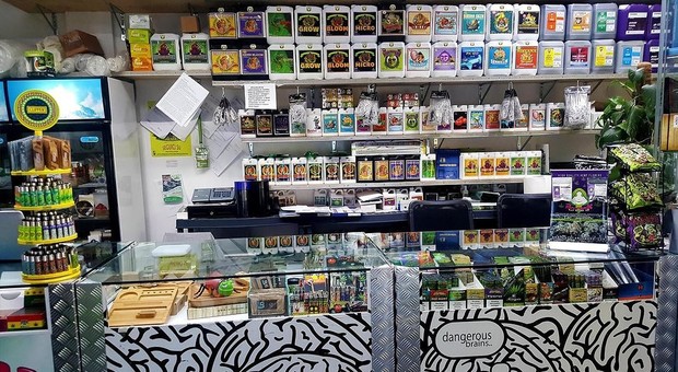Cannabis, Canapar sulle dichiarazioni di Salvini